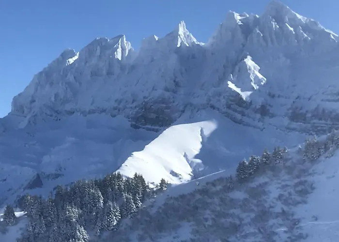 Ancienne Poste Apartamento *